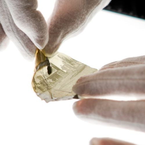 Auch stark beschädigte Bildträger können noch digitalisiert werden