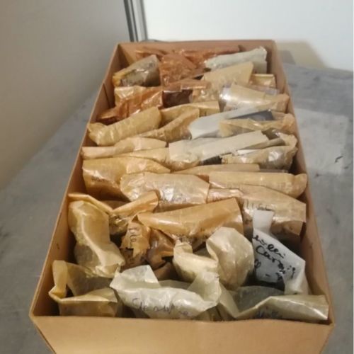 Eine Kiste mit unsortierten Negativen